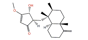 Smenohaimien A